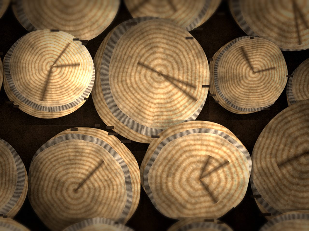 Берёзовые дрова естественной сушки — ракурс 2